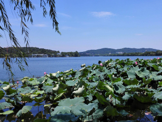 華東杭州旅游團報價自由行_華東杭州組團旅游_華東杭州報團多少錢
