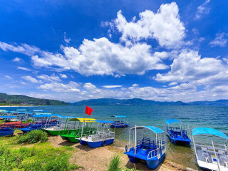 罗平油菜花旅游人次_多少钱罗平油菜花旅游_罗平油菜花著名旅游