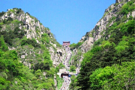 <曲阜-孔庙-孔府-孔林-泰山双高2日游>上海往返，0购物，充足时间，管家式贴心服务，自由探索美食，周末亲子游，爸妈放心托管