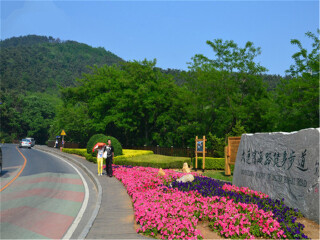 幾月份去青島最便宜_青島旅游幾月份最好_青島旅游報價