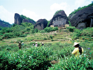 <武夷山-九曲溪3日游>自营,福州出发,含往返高铁票,酒店自选,享九曲溪竹筏漂流,12人VIP小包团,游武夷全景,贴心接送站 <武夷山-九曲溪3日游>自营,福州出发,含往返高铁票,酒店自选,享九曲溪竹筏漂流,12人VIP小包团,游武夷全景,贴心接送站