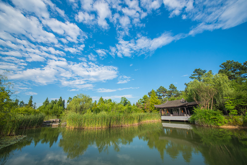 常州茅山宝盛园,刚好满足我"轻松旅行"的所有需求