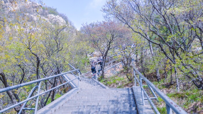 #轻妆出行#【首发】猫猫游河南 中岳嵩山嵩阳