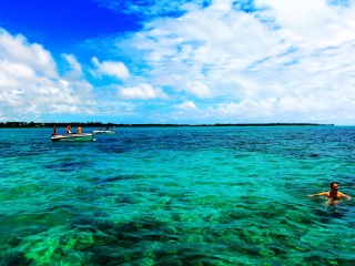 去毛里求斯旅游旅行团_春节毛里求斯游_去毛里求斯旅游参团