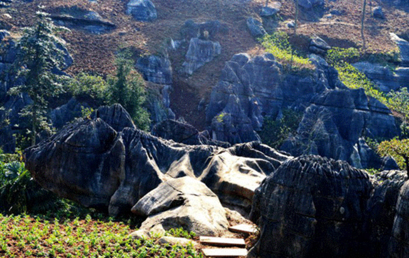 和你一起上山篇——重庆龙鳞石海景区