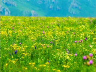 去呼伦贝尔报团多少钱_呼伦贝尔旅游旅行团价格_6月底到呼伦贝尔旅游