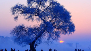雪乡5日游_东北亚布力滑雪旅游签证多少钱_旅游团东北亚布力滑雪_东北亚布力滑雪十日旅游
