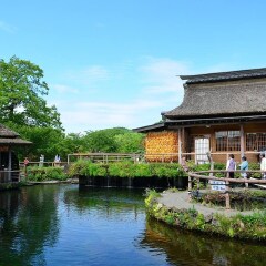 景点模块 