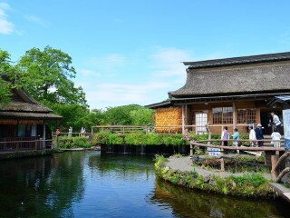 報(bào)團(tuán)去日本多少錢_2021去日本跟團(tuán)多少錢_8月日本旅游