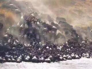 肯尼亞旅游花費一般多少_肯尼亞跟團(tuán)還是自由行_香港旅游團(tuán)肯尼亞