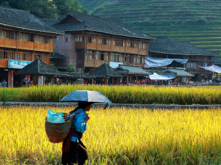 桂林旅游的价钱_桂林旅游团旅游_桂林9日游跟团费用