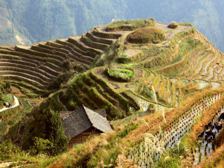 桂林旅游的价钱_桂林旅游团旅游_桂林9日游跟团费用