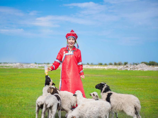 呼倫貝爾游 旅行團_呼倫貝爾最適合旅游的季節(jié)_呼倫貝爾游價格