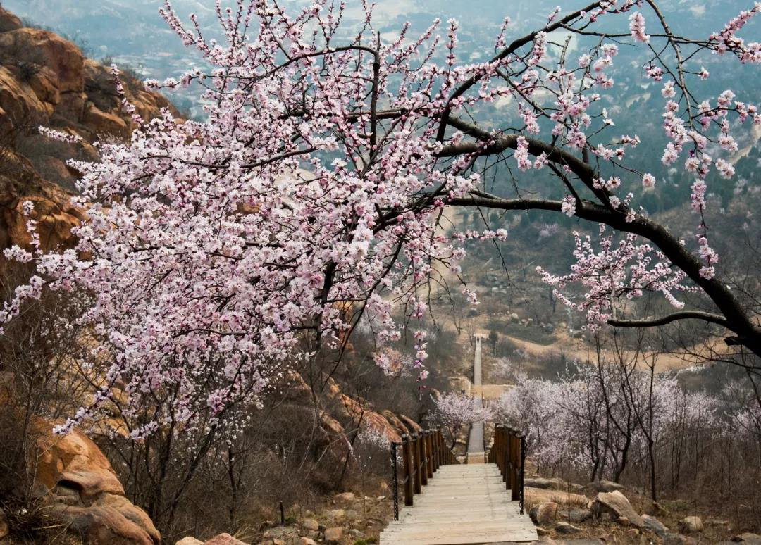白虎涧 | 京郊踏青北京后花园