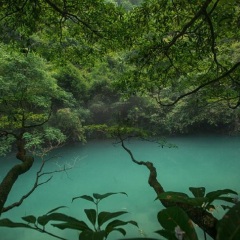 景点模块 