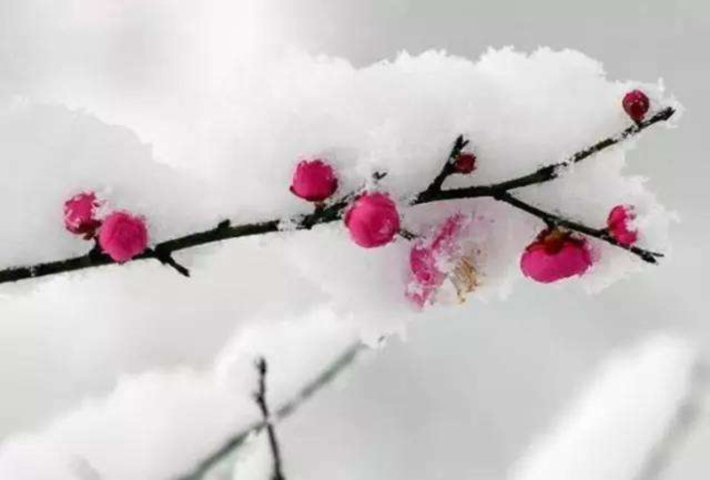 写意雪韵——冬雪与古诗的诗意交融