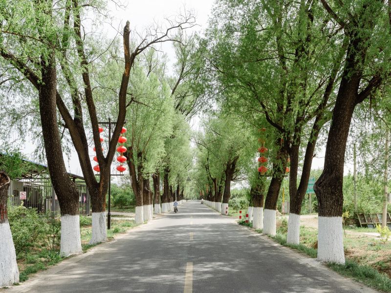 北京虾丸特色民宿