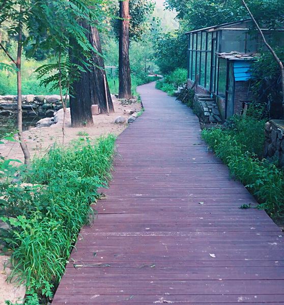 北京神堂峪Baby家庭小院特色民宿(东水湾度假村分店)