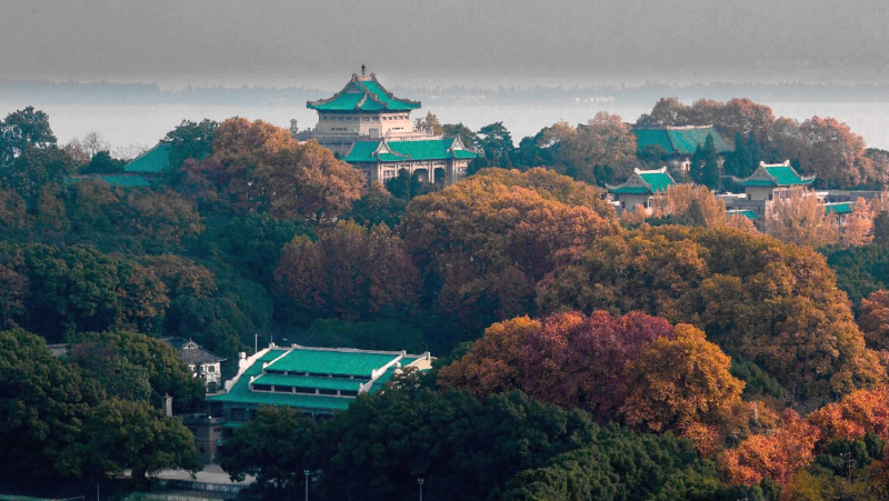 琼楼玉宇,智慧和知识的殿堂--武汉大学老读书馆秋景