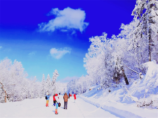 旅行去哈尔滨_六月至哈尔滨旅游_旅游哈尔滨团