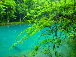 湖南張家界自由行費用_湖南張家界旅游報團價格_2021年湖南張家界旅游團報價