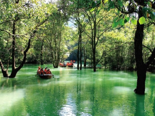 湖南張家界自由行費用_湖南張家界旅游報團價格_2021年湖南張家界旅游團報價