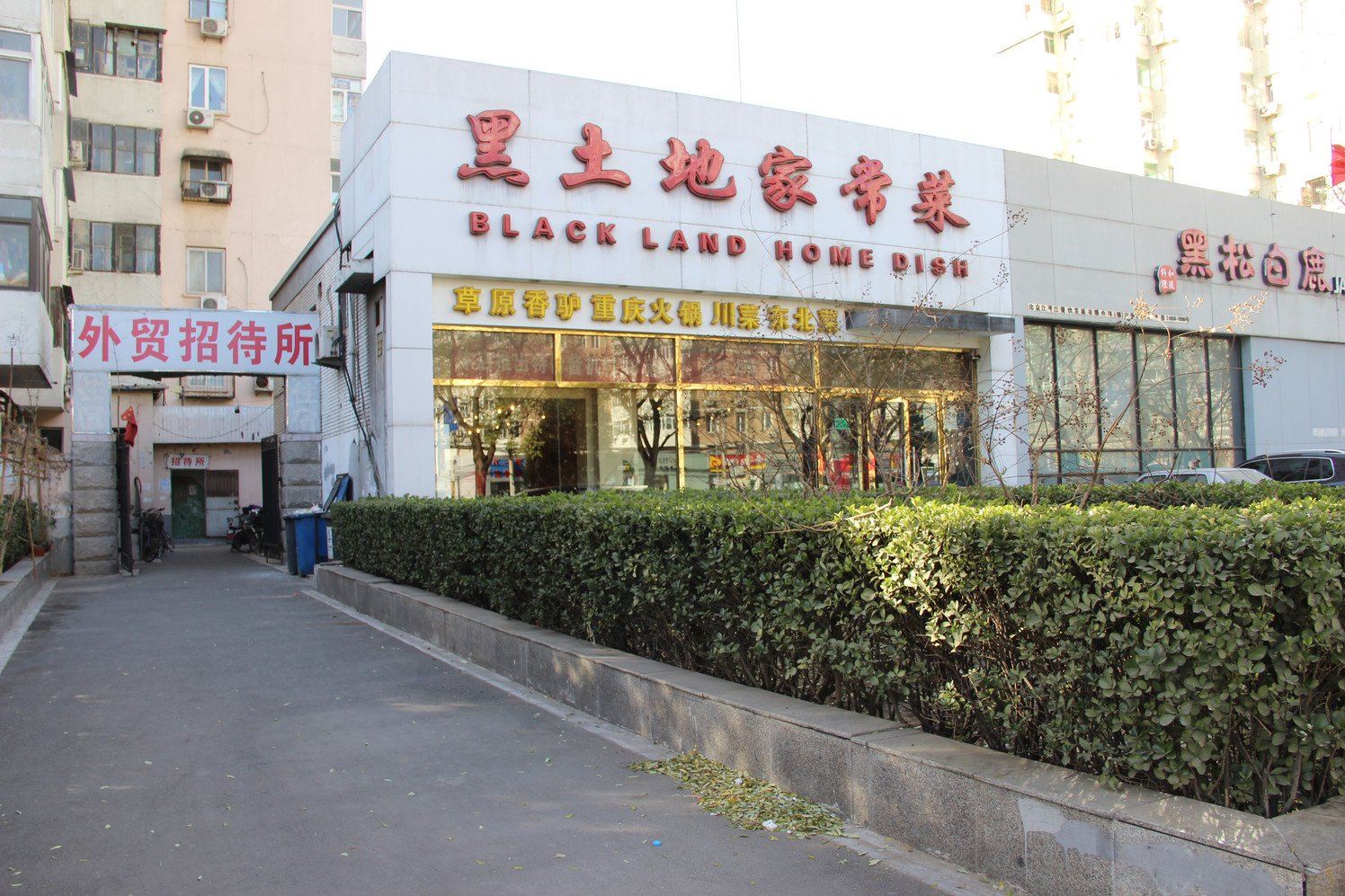 外观