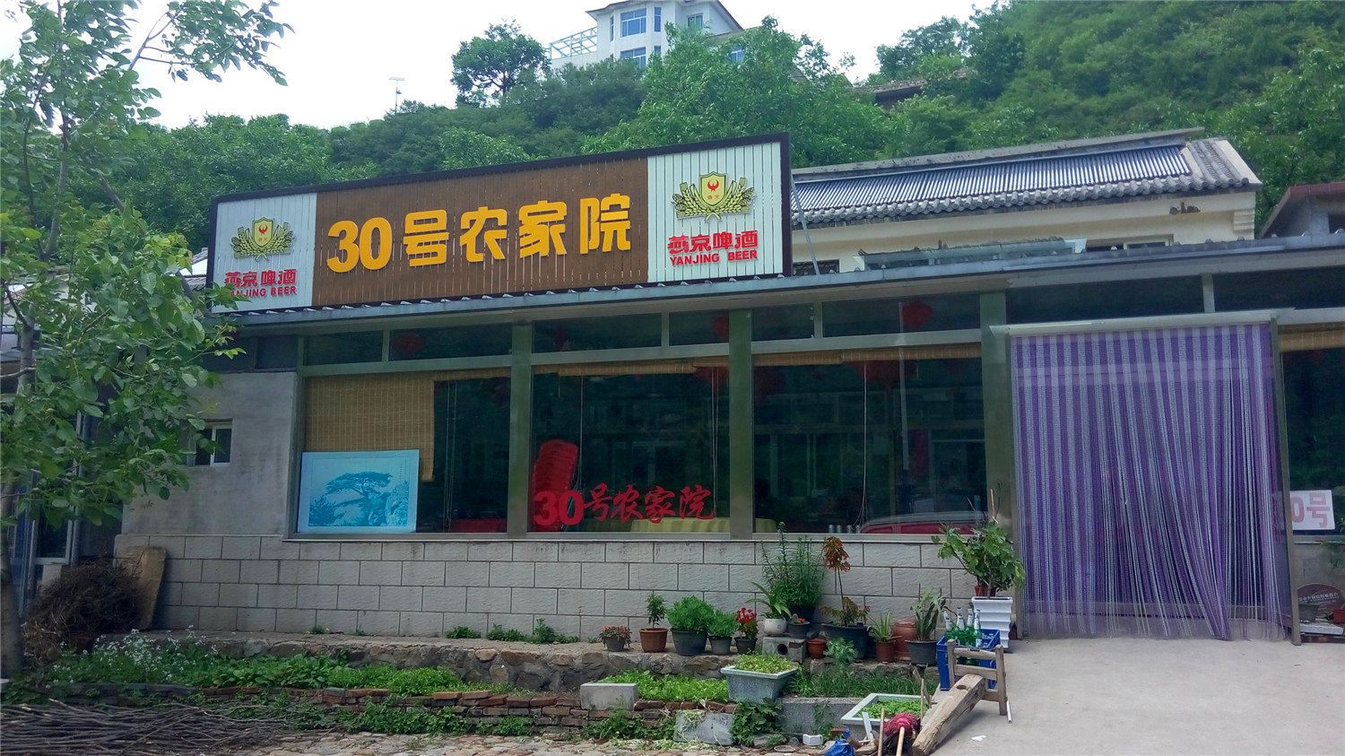 外观
