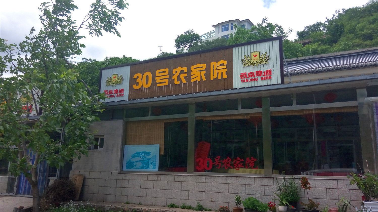 外观