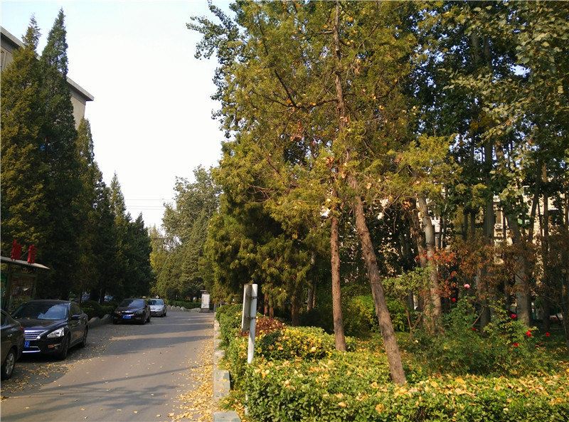 可乐短租(北京金台路店)