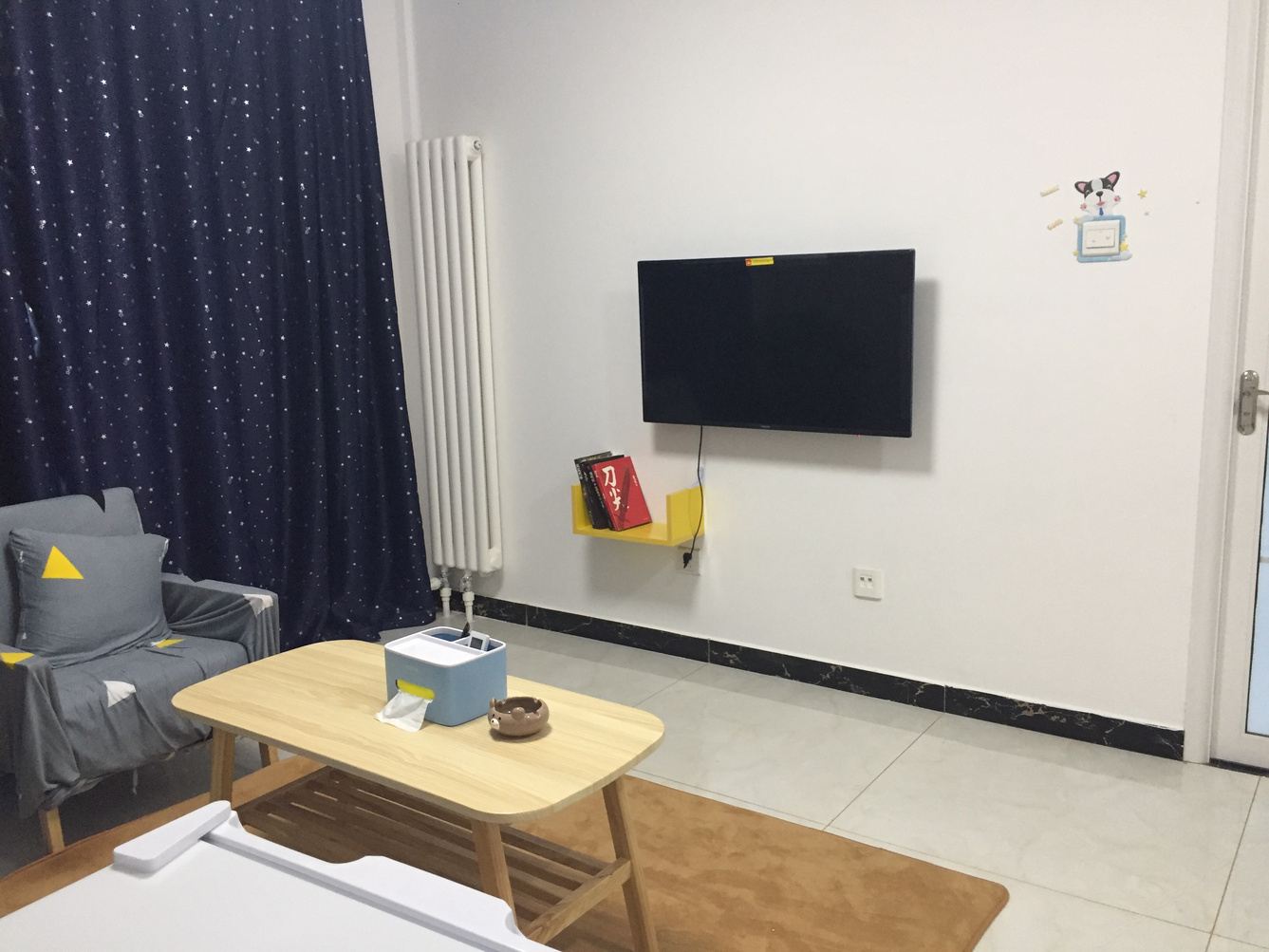精致一居室