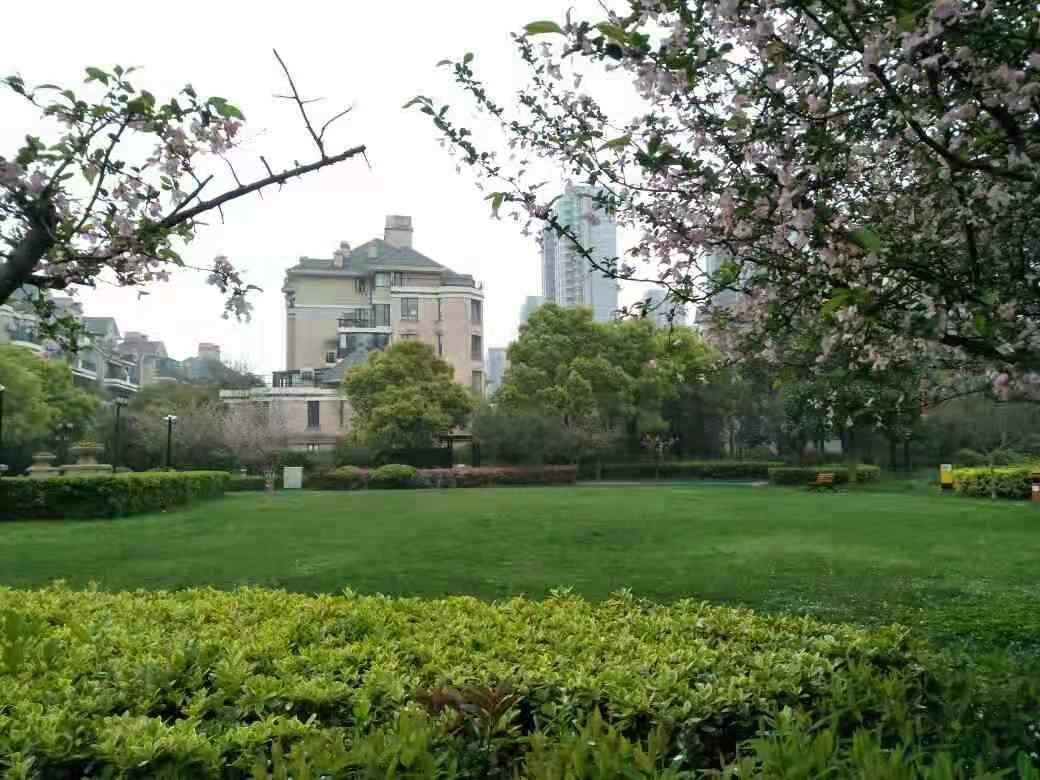 大草坪赏悦景观单人阳光房