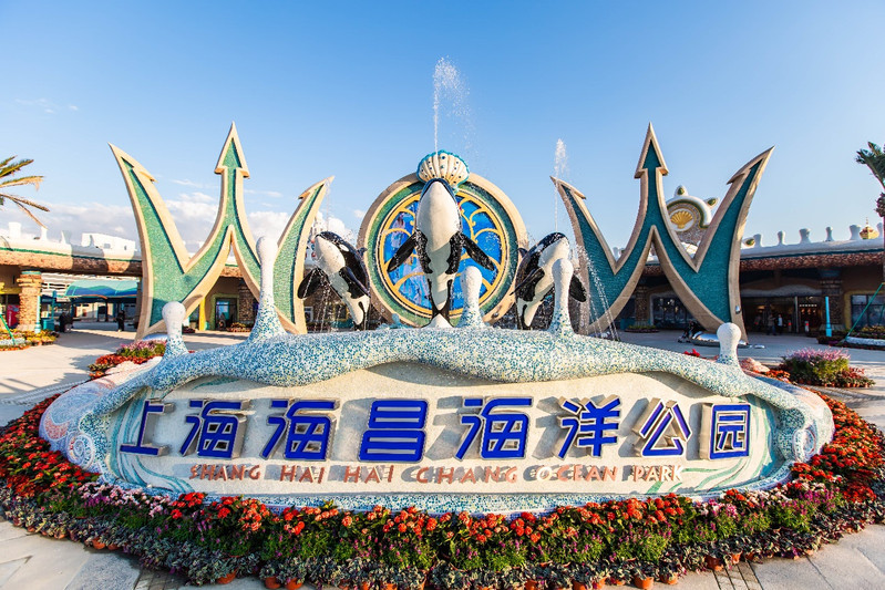 上海海昌海洋公园 | 一个席卷你的想象的世界
