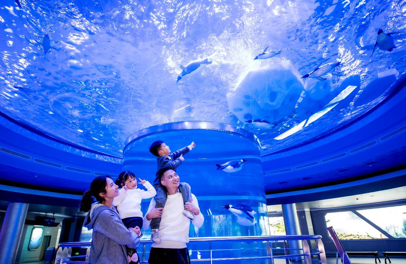 上海海昌海洋公园 | 一个席卷你的想象的世界