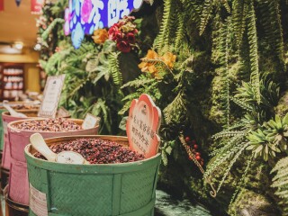廈門旅游幾月份最便宜_廈門游組團_春節(jié)假期去廈門游價格