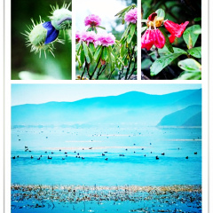 景点模块 