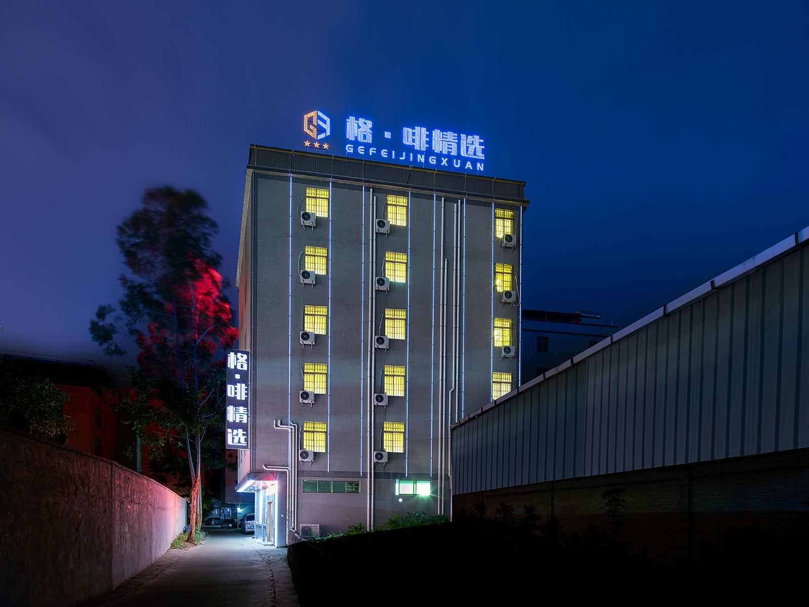 外观
