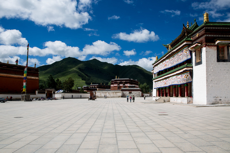 在 拉卜楞寺 有个藏医门诊,在那里可以买一包(限量一人一包)洁白丸