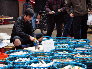 跟團廈門鼓浪嶼游價格_廈門鼓浪嶼游組團_以往國慶廈門鼓浪嶼游價格