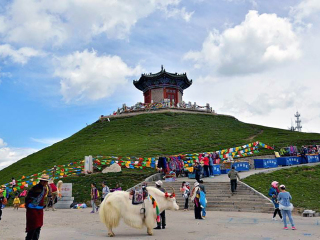 去青海湖游怎么省錢_暑假青海湖游價(jià)格_青海湖游 旅行團(tuán)