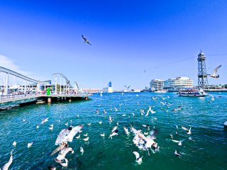 跟团旅游到成都_参加成都旅游团_成都跟团旅游观光