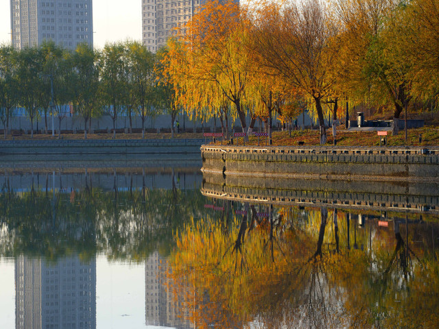 伊犁市内人口_伊犁市图片(3)