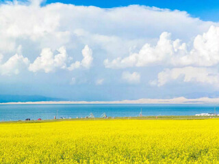青海湖最適合旅游的季節(jié)_2021年青海湖旅游團報價_青海湖旅游多少錢一個人