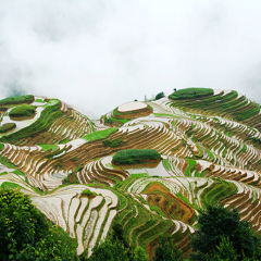 景点模块 