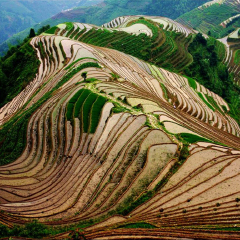 景点模块 