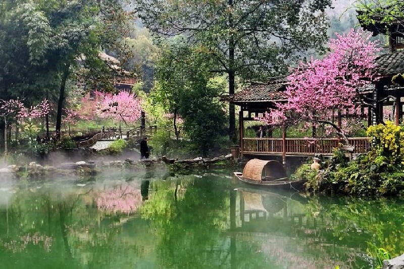 重庆酉阳桃花源 有如仙境 满眼桃红 如梦如幻