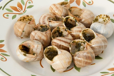 food_picture