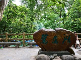 到贵州黄果树六日旅游_贵州黄果树5天跟团旅游_到贵州黄果树游跟团报价