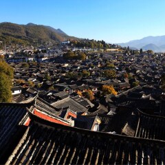 活动模块 