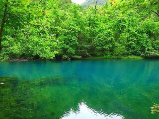 暑假貴州黃果樹游價(jià)格_旅行團(tuán)貴州黃果樹游_貴州黃果樹旅游大概多少錢